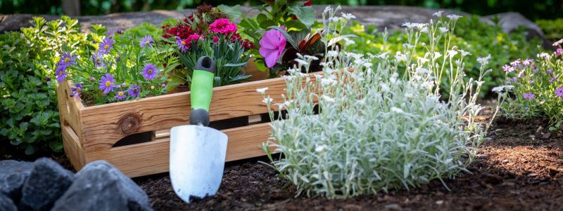 Material Picks that Last