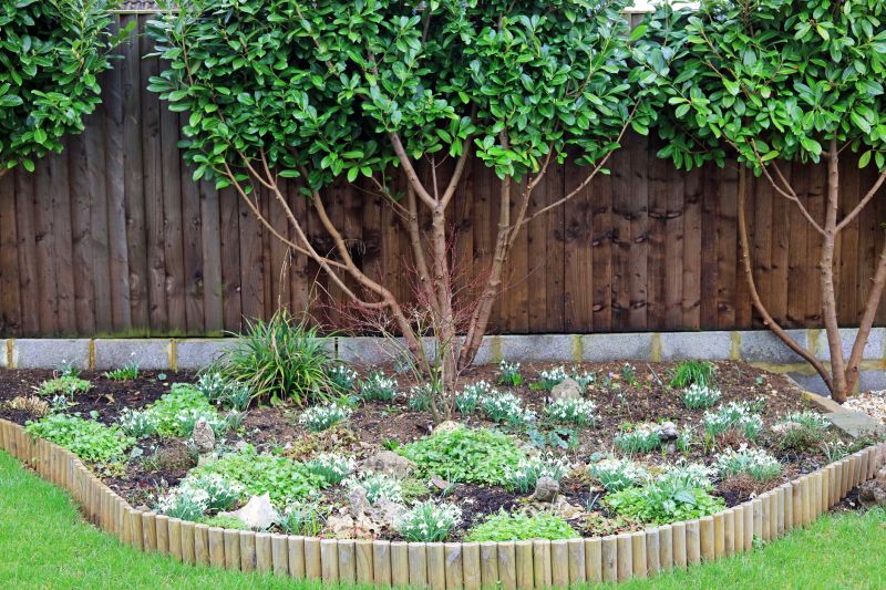 Boxwood Borders