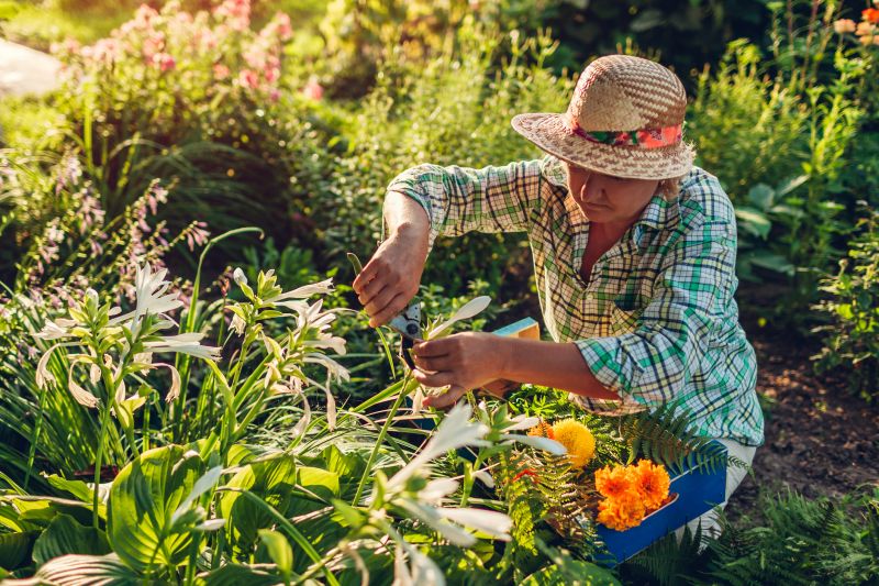 Planting Service in Honolulu, HI