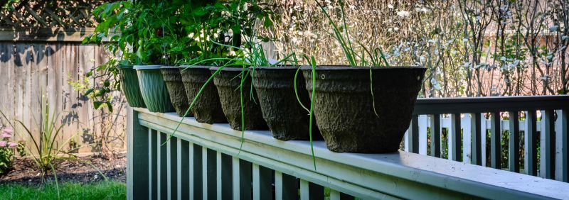 Boxwood Planting Services for Your Landscape